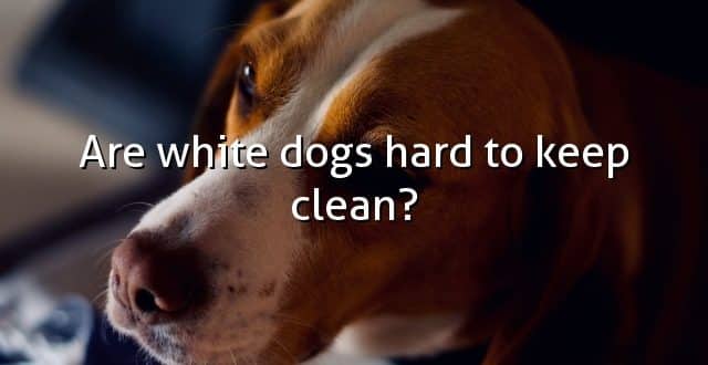 Are white dogs hard to keep clean?