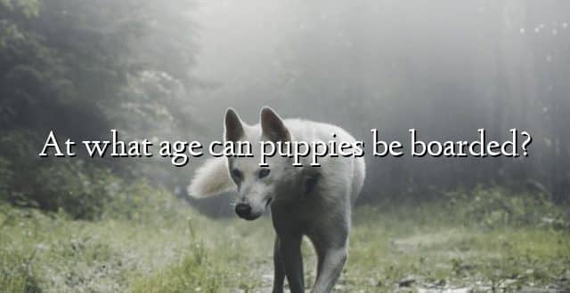 At what age can puppies be boarded?