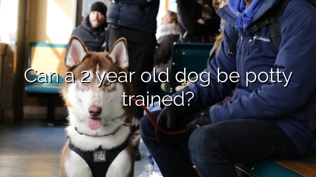 Can a 2 year old dog be potty trained?