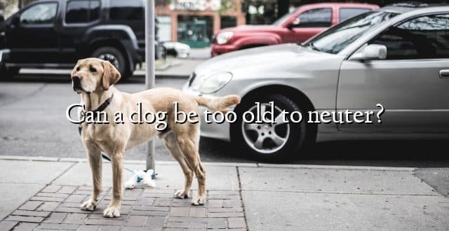 Can a dog be too old to neuter?