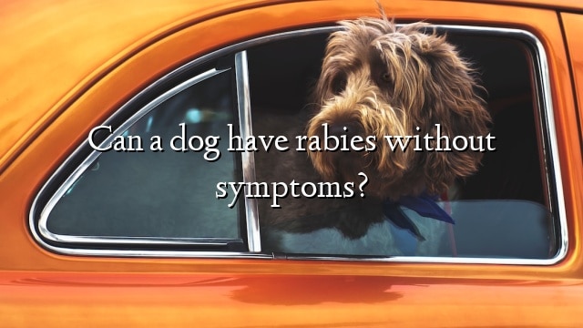 Can a dog have rabies without symptoms?
