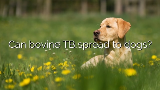 Can bovine TB spread to dogs?