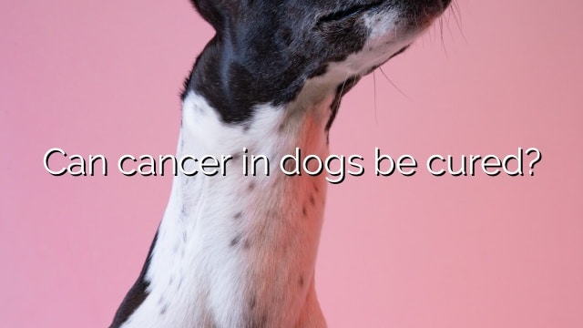 Can cancer in dogs be cured?
