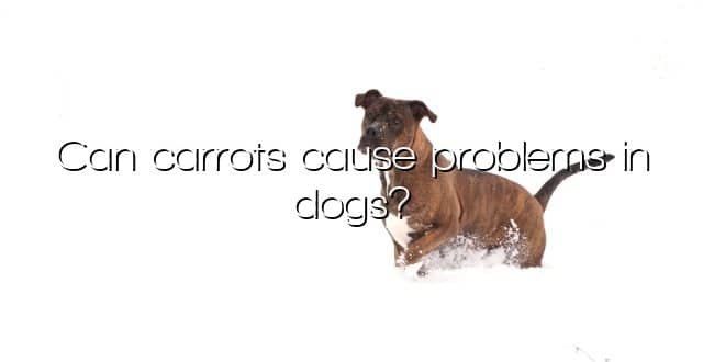 Can carrots cause problems in dogs?