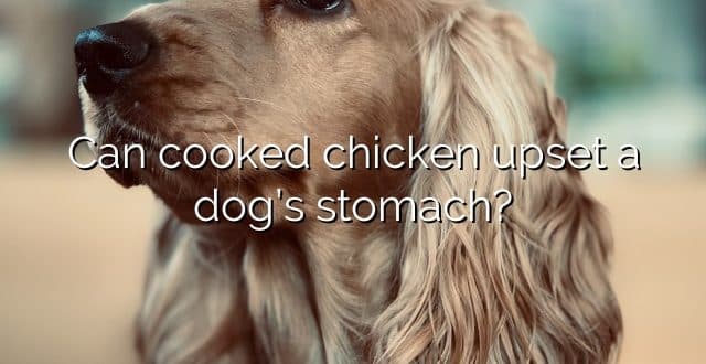 Can cooked chicken upset a dog’s stomach?