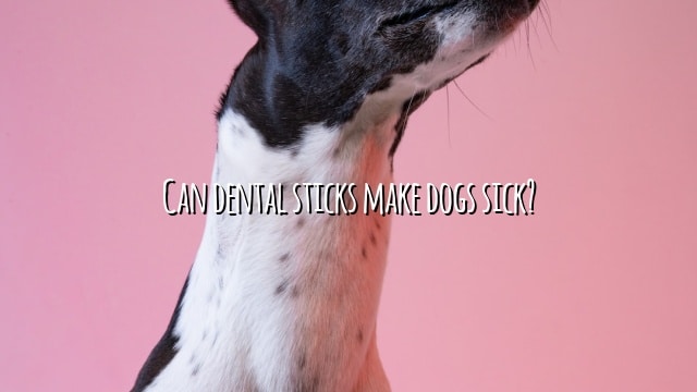 Can dental sticks make dogs sick?