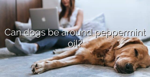 Can dogs be around peppermint oil?