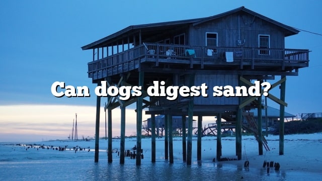 Can dogs digest sand?
