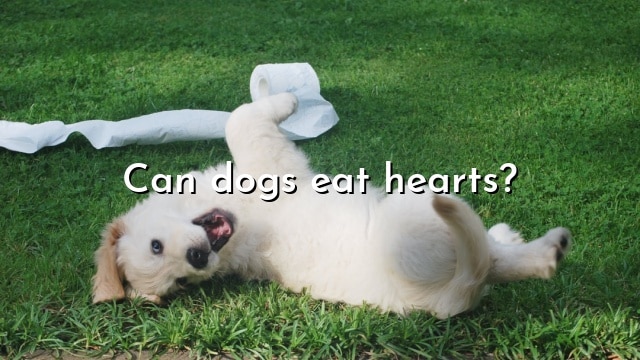 Can dogs eat hearts?