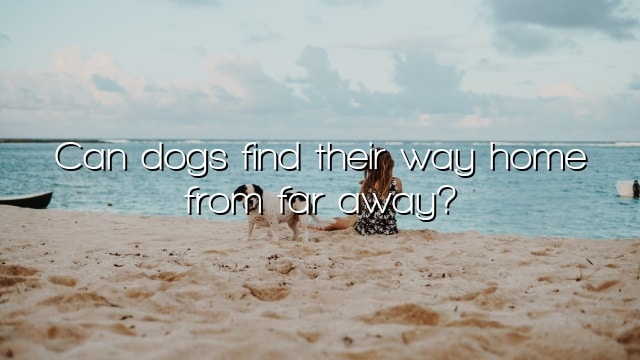 Can dogs find their way home from far away?