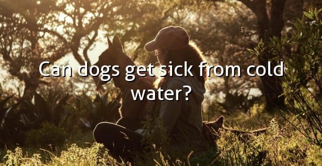 Can dogs get sick from cold water?