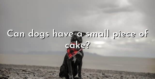 Can dogs have a small piece of cake?