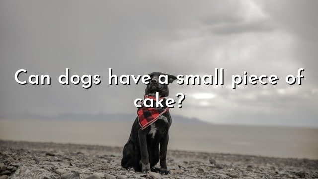 Can dogs have a small piece of cake?