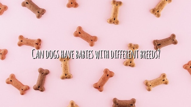 Can dogs have babies with different breeds?