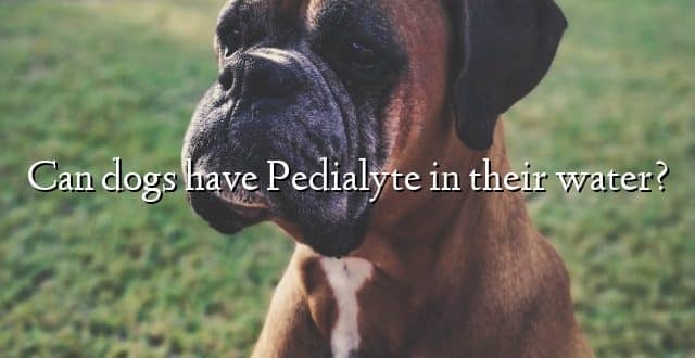 Can dogs have Pedialyte in their water?