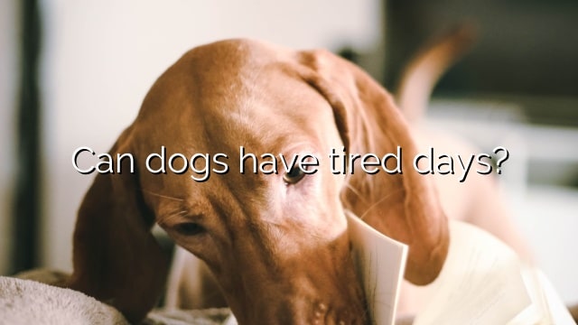 Can dogs have tired days?