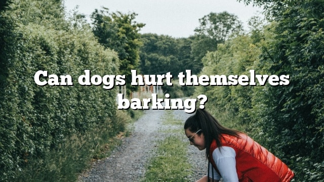 Can dogs hurt themselves barking?