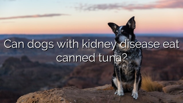 Can dogs with kidney disease eat canned tuna?