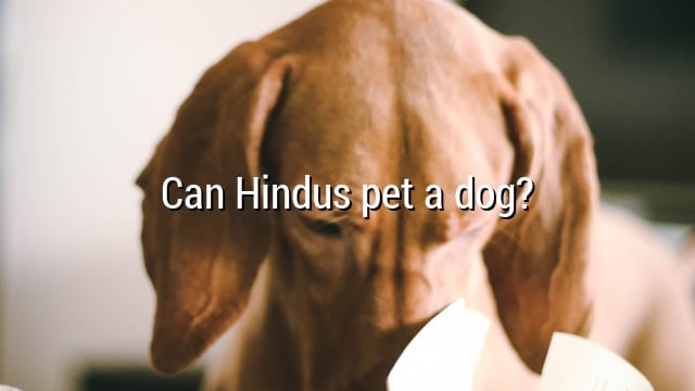 Can Hindus pet a dog?