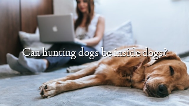 Can hunting dogs be inside dogs?