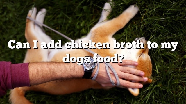 Can I add chicken broth to my dogs food?