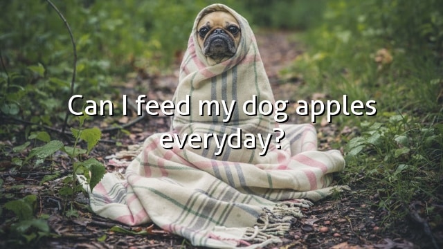 Can I feed my dog apples everyday?