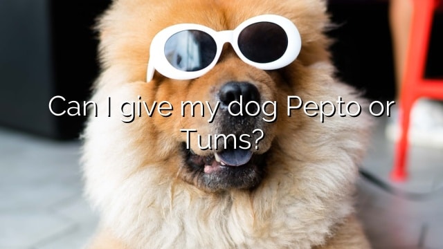 Can I give my dog Pepto or Tums?