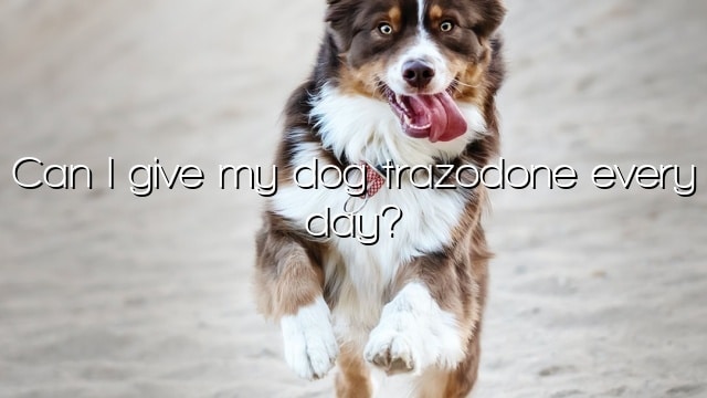 Can I give my dog trazodone every day?