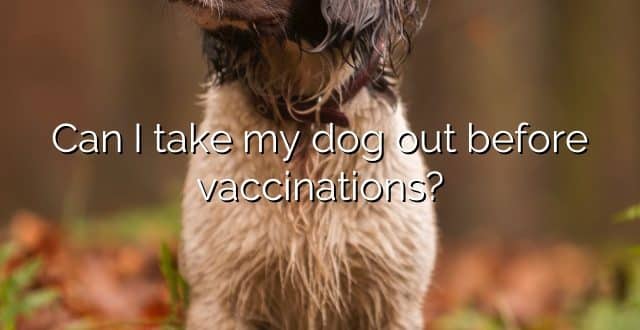 Can I take my dog out before vaccinations?