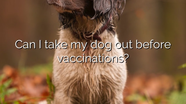 Can I take my dog out before vaccinations?