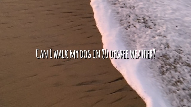 Can I walk my dog in 80 degree weather?
