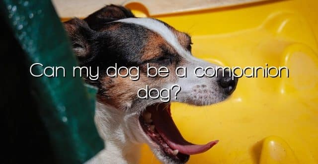 Can my dog be a companion dog?