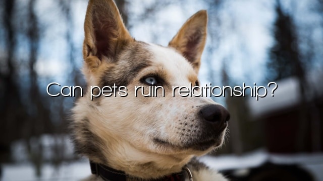 Can pets ruin relationship?