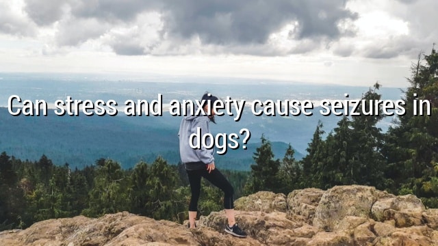 Can stress and anxiety cause seizures in dogs?