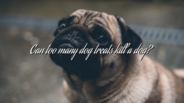 Can too many dog treats kill a dog?