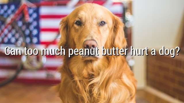 Can too much peanut butter hurt a dog?