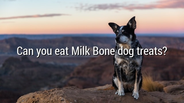 Can you eat Milk Bone dog treats?