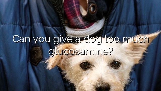 Can you give a dog too much glucosamine?