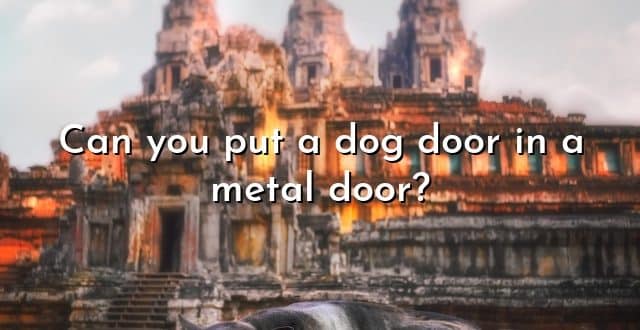 Can you put a dog door in a metal door?