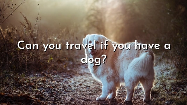 Can you travel if you have a dog?