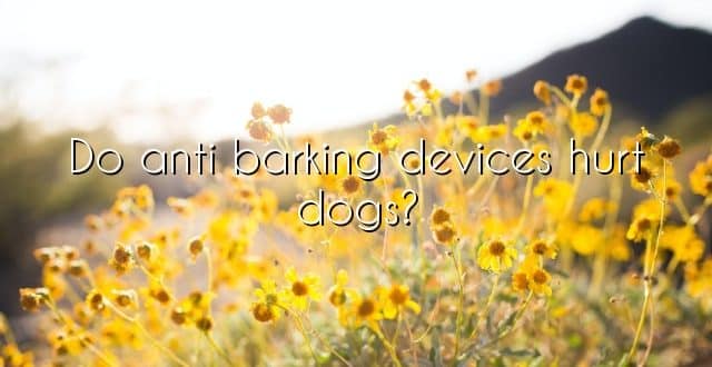 Do anti barking devices hurt dogs?