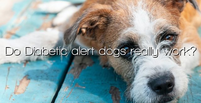 Do Diabetic alert dogs really work?