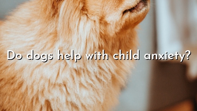 Do dogs help with child anxiety?