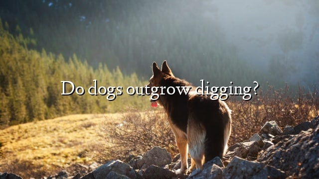 Do dogs outgrow digging?
