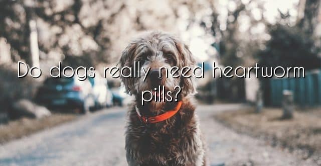 Do dogs really need heartworm pills?