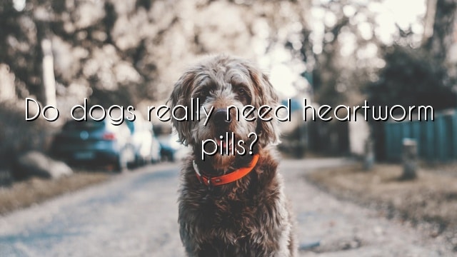 Do dogs really need heartworm pills?