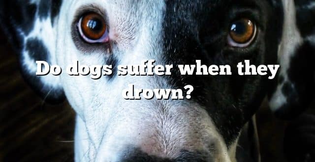 Do dogs suffer when they drown?