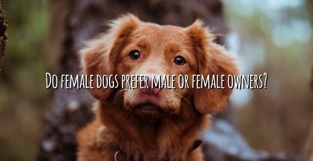 Do female dogs prefer male or female owners?
