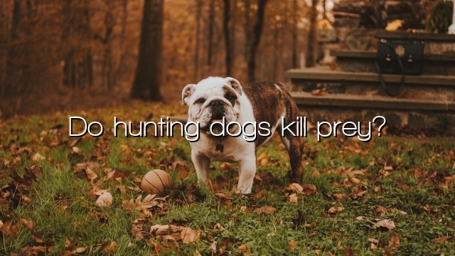 Do hunting dogs kill prey?