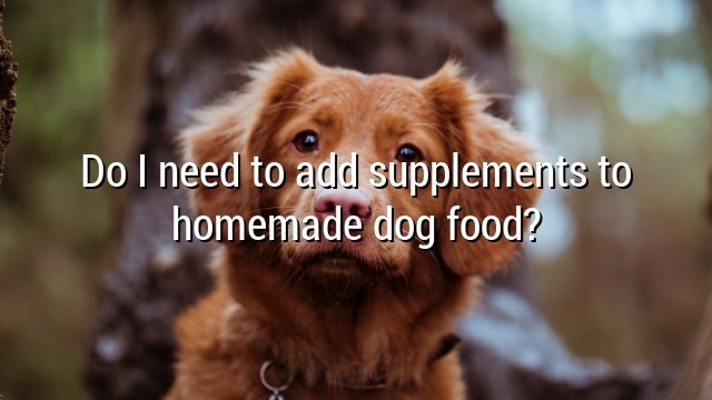 Do I need to add supplements to homemade dog food?